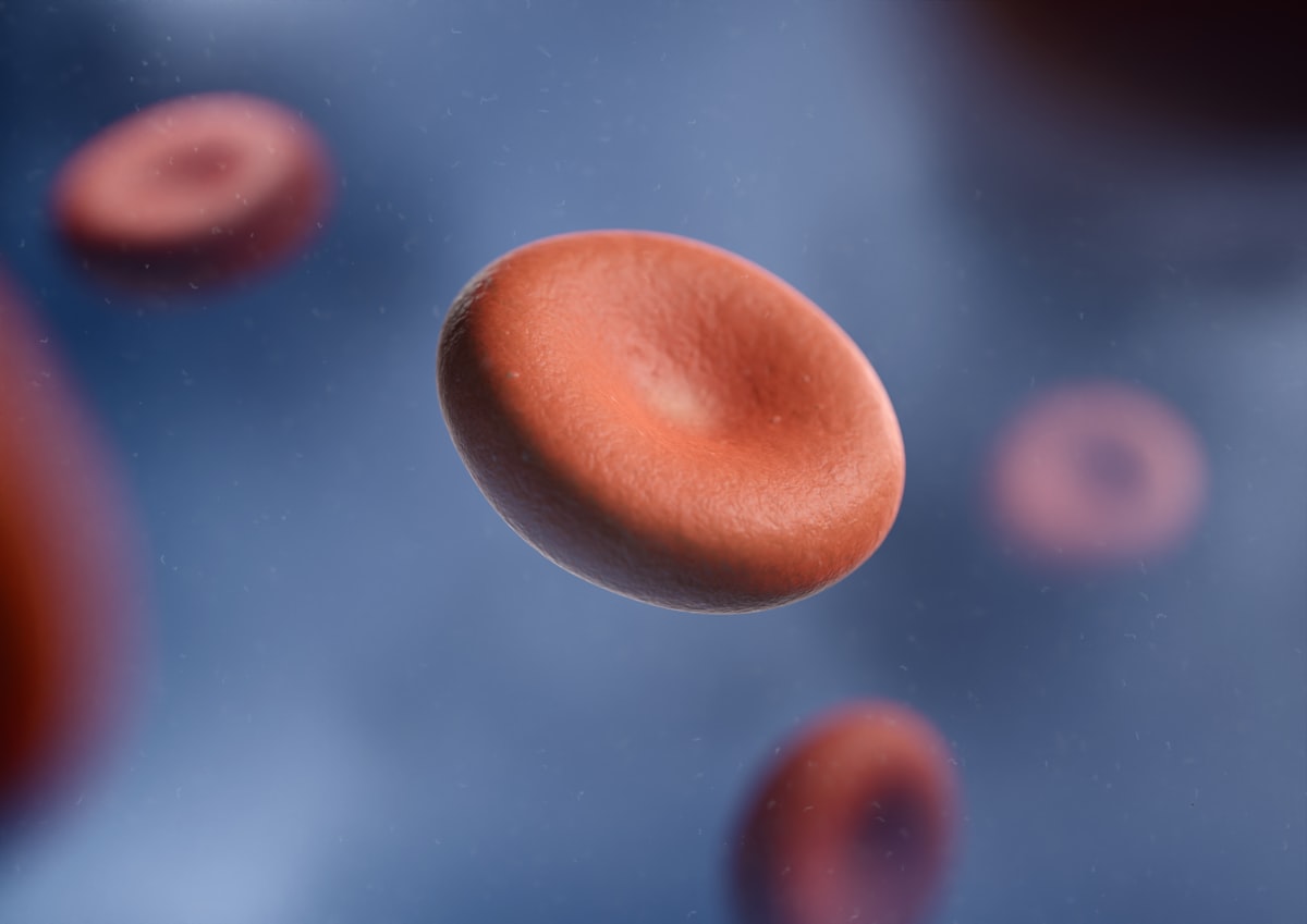 PRP — illustrative image